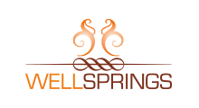 appfy-toronto-branding-agency-wellsprings-medical
