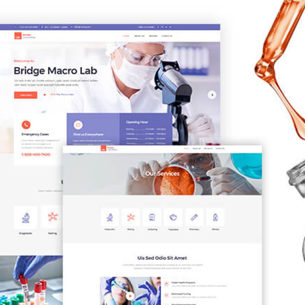 dental website Design marketing